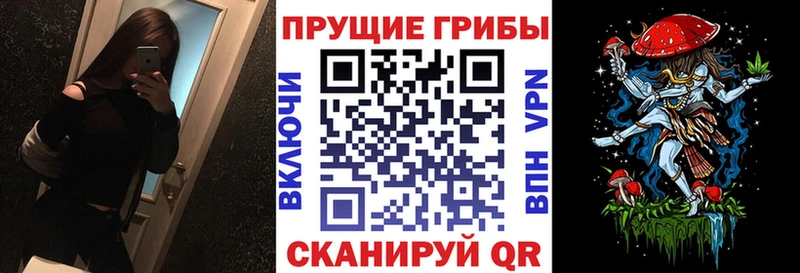Псилоцибиновые грибы мицелий  Купить  Кубинка 