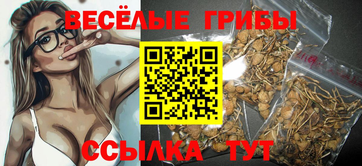 Галлюциногенные грибы мицелий Кубинка