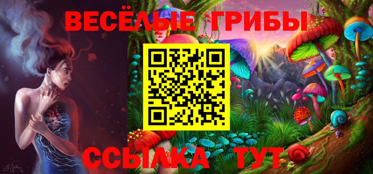 Кубинка  Псилоцибиновые грибы Cubensis  Вход с VPN  Галлюциногенные грибы Cubensis 
