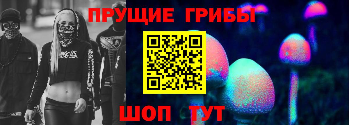 Галлюциногенные грибы Psilocybine cubensis  Кубинка 